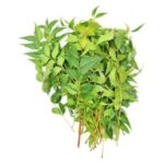 Neem Leaves 200g